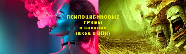 PSILOCYBIN Беломорск