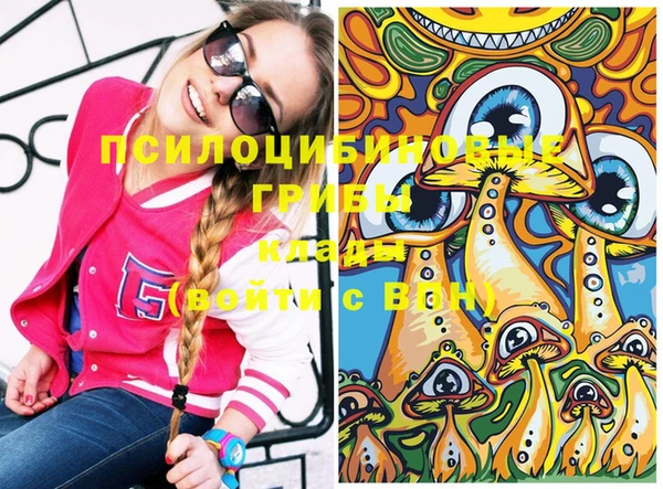 стаф Богородицк
