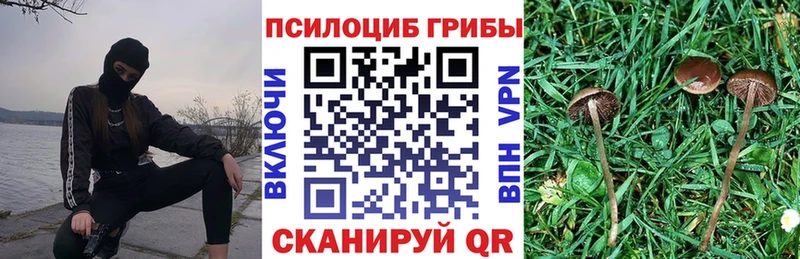 Псилоцибиновые грибы GOLDEN TEACHER  Воркута 